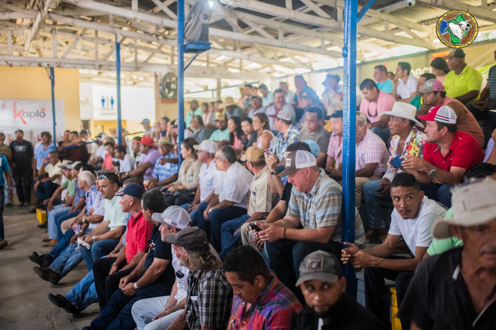 Promoviendo la producción ganadera sostenible: conocimiento, cooperación y responsabilidad ambiental